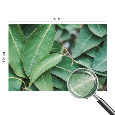 Självhäftande fotovägg Gröna blad