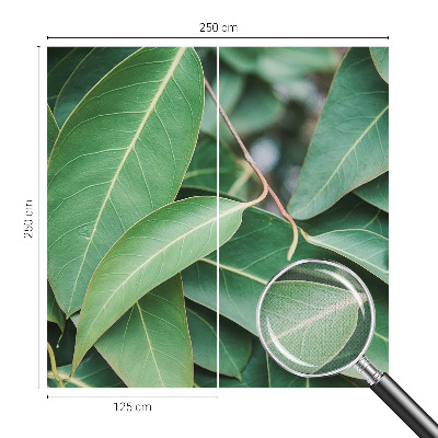 Självhäftande fotovägg Gröna blad