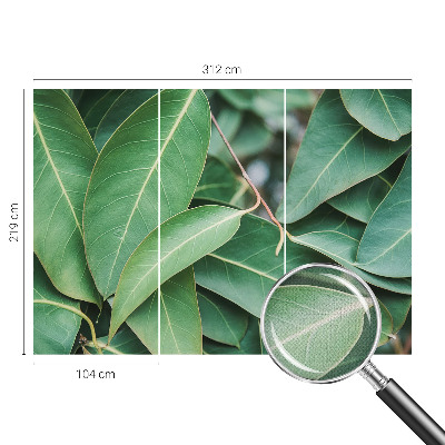 Självhäftande fotovägg Gröna blad