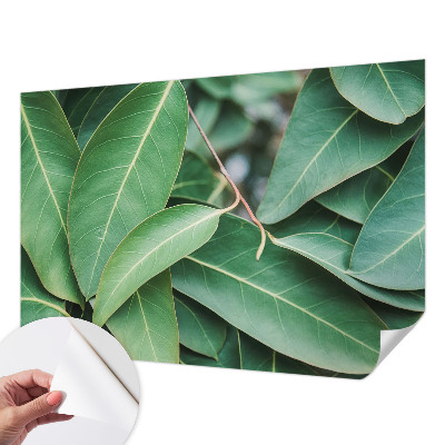Självhäftande fotovägg Gröna blad