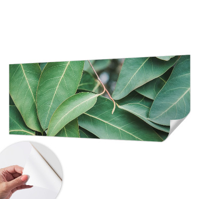 Självhäftande fotovägg Gröna blad
