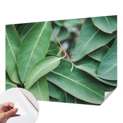 Självhäftande fotovägg Gröna blad