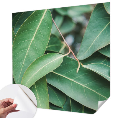 Självhäftande fotovägg Gröna blad