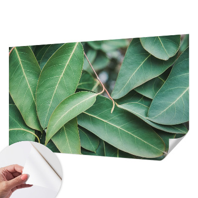 Självhäftande fotovägg Gröna blad
