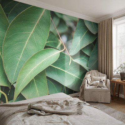 Självhäftande fotovägg Gröna blad