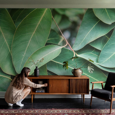 Självhäftande fotovägg Gröna blad