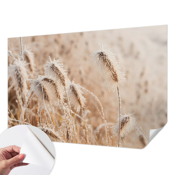 Självhäftande fototapet Vinterlandskap