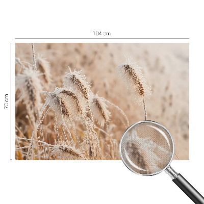 Självhäftande fototapet Vinterlandskap