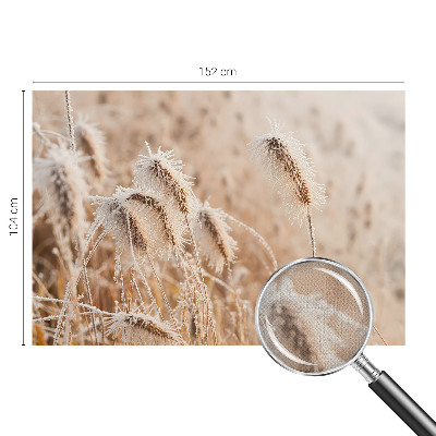 Självhäftande fototapet Vinterlandskap