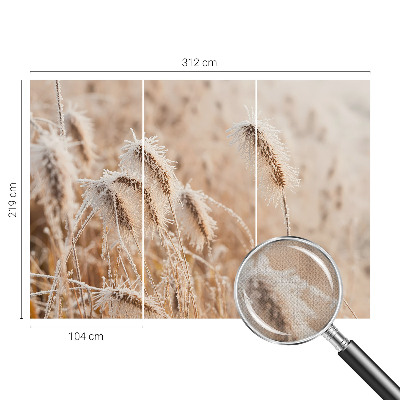 Självhäftande fototapet Vinterlandskap