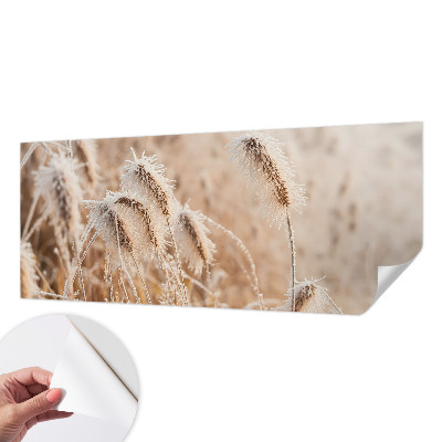 Självhäftande fototapet Vinterlandskap