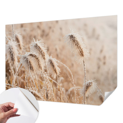 Självhäftande fototapet Vinterlandskap