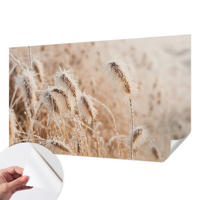 Självhäftande fototapet Vinterlandskap