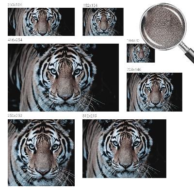 Fototapet för barn med ett tigerporträtt
