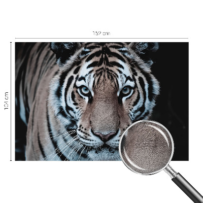 Fototapet för barn med ett tigerporträtt