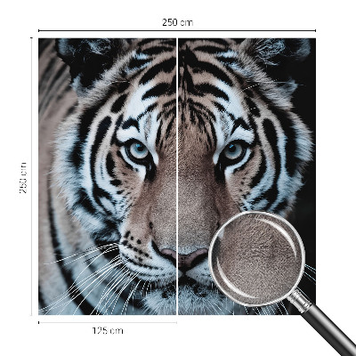 Fototapet för barn Tigerporträtt