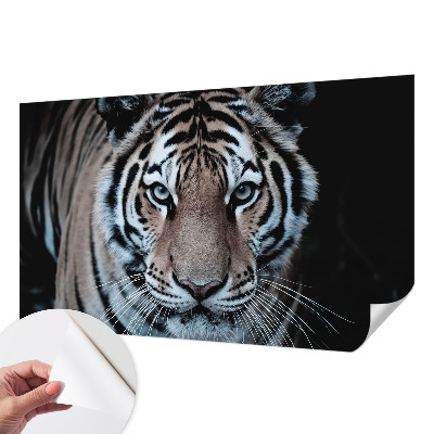 Fototapet för barn med ett tigerporträtt