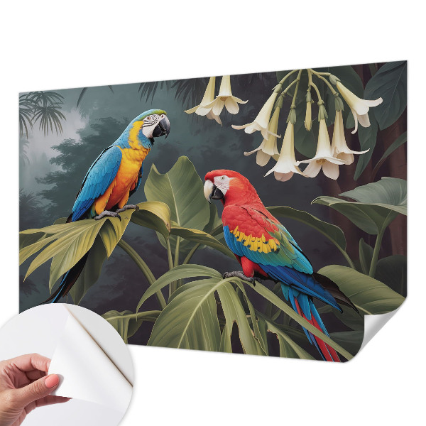Peel and stick fototapet med färgglada papegojor