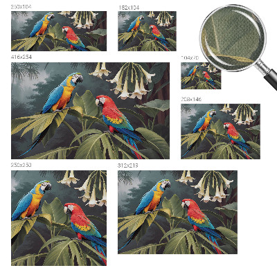 Peel and stick fototapet Färgglada papegojor