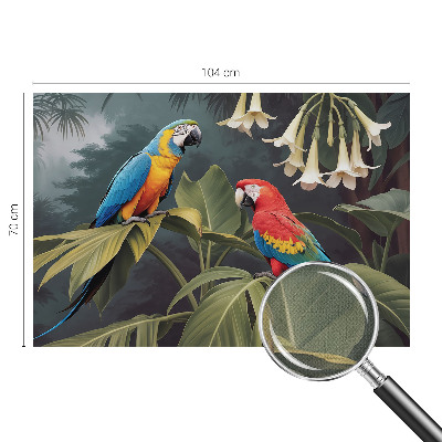 Peel and stick fototapet Färgglada papegojor