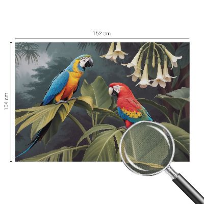 Peel and stick fototapet Färgglada papegojor