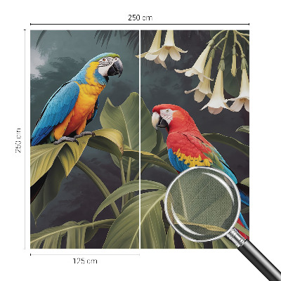 Peel and stick fototapet Färgglada papegojor