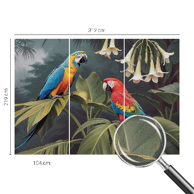 Peel and stick fototapet Färgglada papegojor