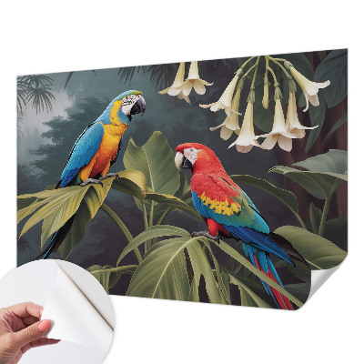 Peel and stick fototapet Färgglada papegojor