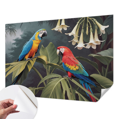 Peel and stick fototapet Färgglada papegojor