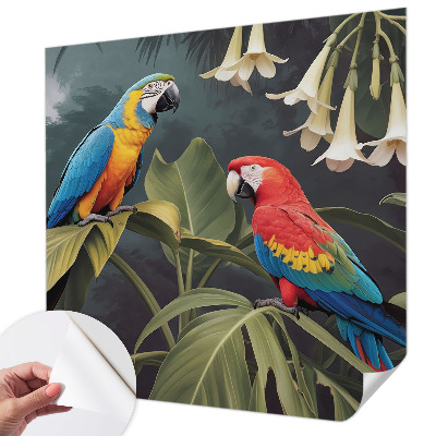 Peel and stick fototapet Färgglada papegojor