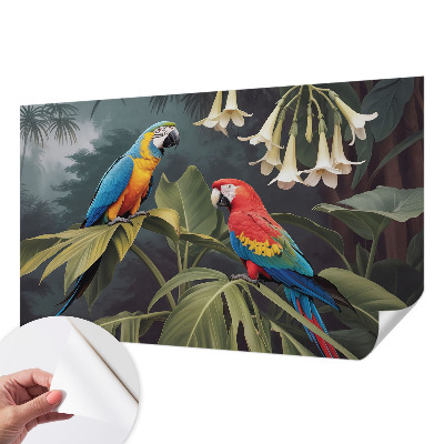 Peel and stick fototapet Färgglada papegojor