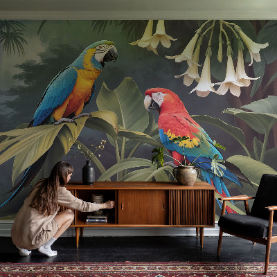 Peel and stick fototapet Färgglada papegojor