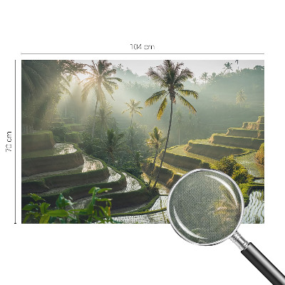 3D fototapet med motiv av paradisträdgårdens terrasser