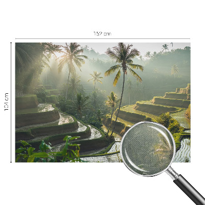 3D fototapet med motiv av paradisträdgårdens terrasser