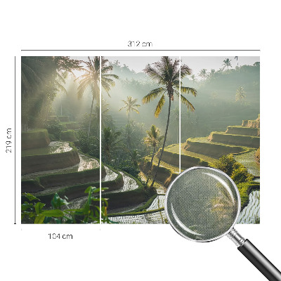 3D fototapet med motiv av paradisträdgårdens terrasser