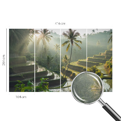 3D fototapet med motiv av paradisträdgårdens terrasser