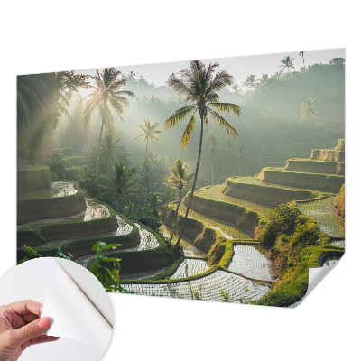3D fototapet med motiv av paradisträdgårdens terrasser