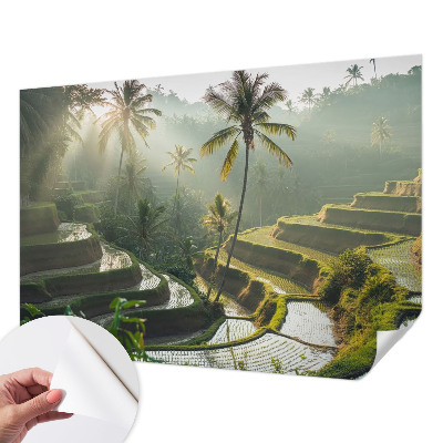 3D fototapet med motiv av paradisträdgårdens terrasser