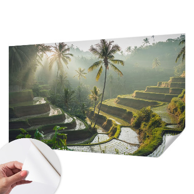 3D fototapet med motiv av paradisträdgårdens terrasser