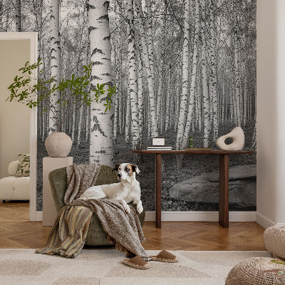 Fototapet för barn med motiv av björkskog