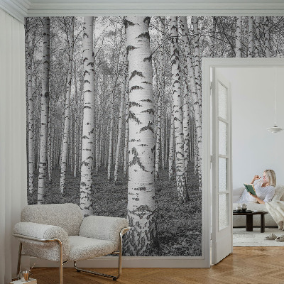 Fototapet för barn med motiv av björkskog