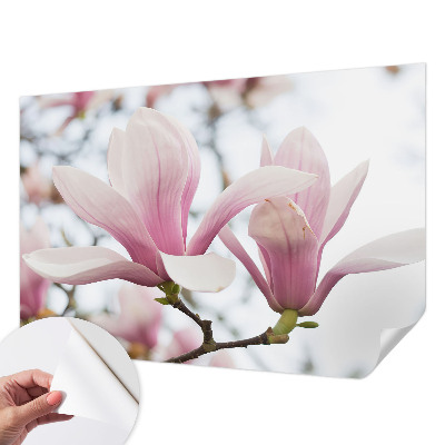 Fototapet för barn med motiv av magnoliablommor