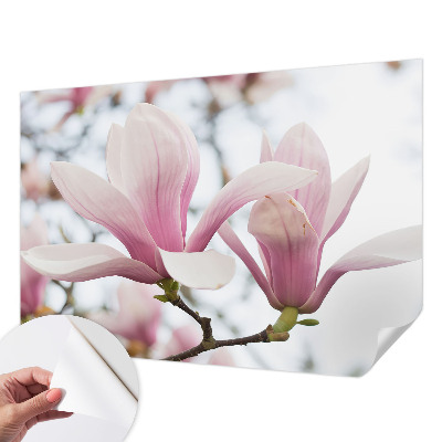 Fototapet för barn med motiv av magnoliablommor