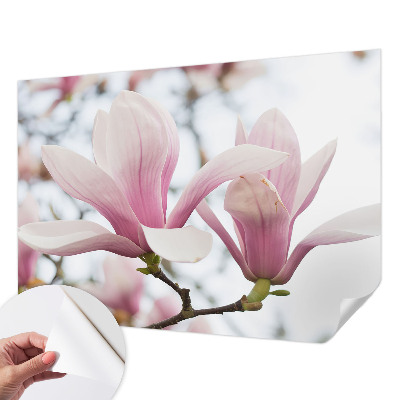 Fototapet för barn med motiv av magnoliablommor