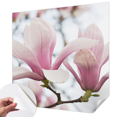 Fototapet för barn med motiv av magnoliablommor