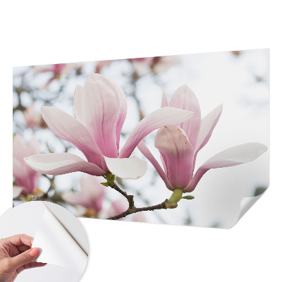 Fototapet för barn med motiv av magnoliablommor