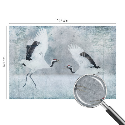 3D fototapet med ett harmoniskt motiv av kranar