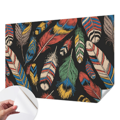 Självhäftande fotovägg Färgglada fjädrar