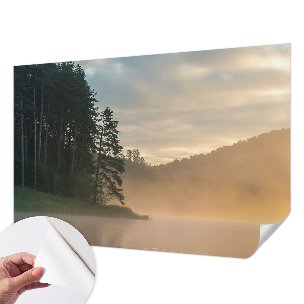 3D fototapet med motiv av en dimmig morgon