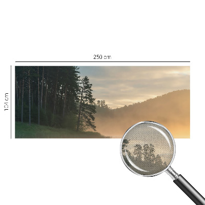 3D fototapet med motiv av en dimmig morgon
